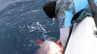 Opah fishing in San Diego