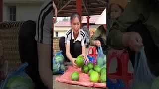 Harvesting papaya to sell #harvest #shortvideo #shortsvideo #shorts #shorts