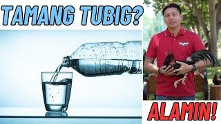 Tamang Pag Bigay Ng Tubig Sa Araw Ng Laban
