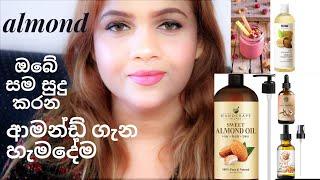 almond | almond benefits sinhala | sri lankan almond | almond secrets in sinhala |  pavithra peiris