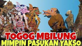 LAKON TERFAVORIT TOGOG MBILUNG MIMPIN PASUKAN BUTO KI SENO NUGROHO