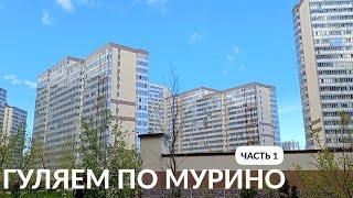 ПРОГУЛКА ПО МУРИНО ДЕВЯТКИНО САНКТ-ПЕТЕРБУРГ часть 1