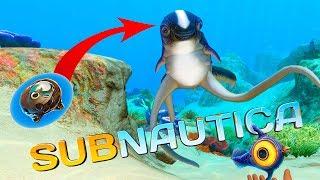 ЛАСКОВАЯ РЫБКА - ОБНОВЛЕНИЕ SUBNAUTICA - Где Найти и Как Вырастить