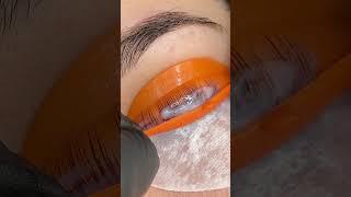 elleebana lash lift #lashlifting #lashliftandtint #lashliftkit #lashliftprocess #lashlifttutorial
