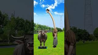 The cow's energy surges into the sky and moves recklessly, and the green skin cracks into a glass s