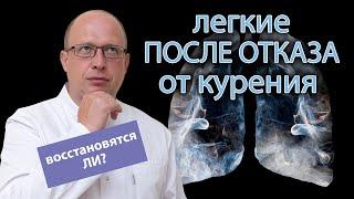  Восстанавливаются ли легкие после отказа от курения? ️