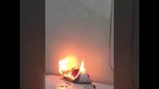 Must watch || Phoenix rising from the ashes || Paper fire art ||