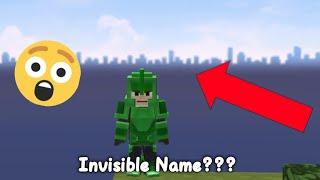 How to Get Invisible Name In Blockman Go!! (Easy Way)