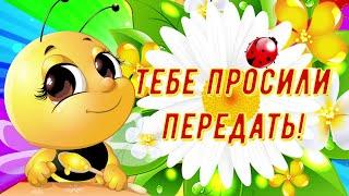 Я Посылаю Тебе Лучики Добра и Счастья! Хорошего Дня и Огромный Привет от Меня!