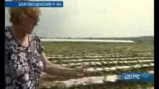 Россельхознадзор по Заб. краю и Амурской области