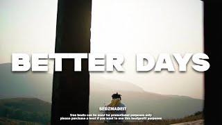 (FREE) Rema x Omah Lay x Afrobeat type beat - Better Days