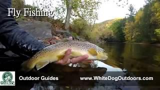 White Dog Trail Company - Outdoor Guides Trailer