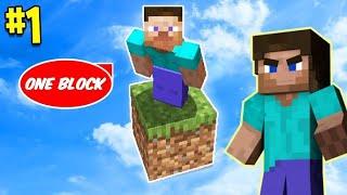 Minecraft but I'm on a OneBlock | Minecraft