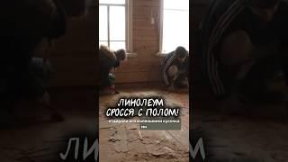 Восстанавливаем 60-летний дом своими руками🫶 #домиквдеревне #ремонт #ремонтсвоимируками