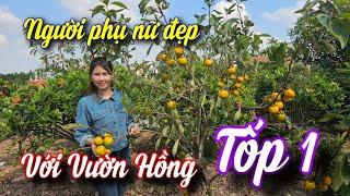 SH.9684. Bất ngờ gặp người phụ nữ đẹp với Vườn Hồng Tết tốp 1 ở Hải Hậu Nam Định. Đth 0967.438.113