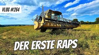 Vlog 265 The first rapeseed in contract work