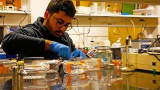 Biotechnology Research at Elms College