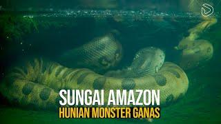 Sungai Amazon: Bagaimana Sungai ini Menciptakan Monster Ganas