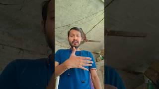 ASMR AMERICA'S ORIGINAL DUBBLE BUBBLE GUM (3 FRUIT FLAVORS) AND... part 6