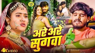 #Aashish Yadav | मगही दर्दनाक गाना | अरे अरे सुगवा | Are Are Sugwa | Maghi Sad Song 2025