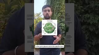Types of Plastids | Introduction to Cell | Cell Organelles