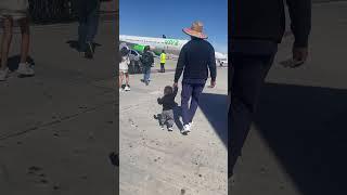 Aziel’s first time in Guadalajara #regionalmexicano #cutebaby
