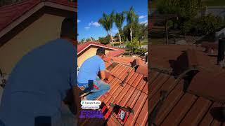 Roof Maintenance
