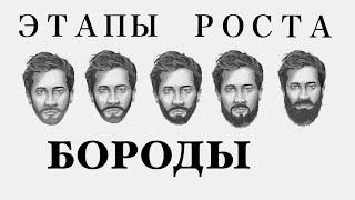 Этапы роста бороды / Как растёт борода. Как отрастить бороду. Какая щетина бывает. Стрижка бороды