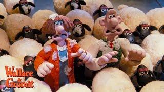 A Close Shave  | Truck Chase Scene Clip | Wallace & Gromit