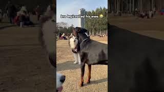 bro AINT GOT TIME for such nonsense   #funny #shorts
