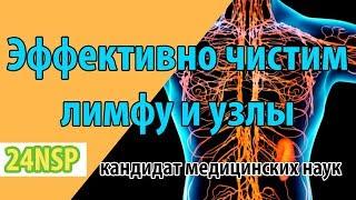 Как и чем эффективно очистить лимфатическую систему и лимфатические узлы? Подробная лекция к.м.н.