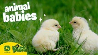 The CUTEST Baby Animals On The Farm!   | John Deere Kids