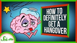 How to Definitely Get a Hangover