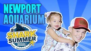 Shark Summer at Newport Aquarium with BadicalDadical!