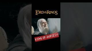 The Lord of All Horses! #LordOfTheRings #Gandalf #Fantasy #horse  #lotr #horses #movieclips #clips