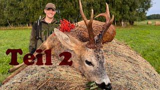 the rutting season competition part 2! Who attracts more bucks? Hunter Brothers