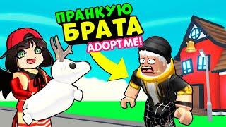 Пранкую БРАТА в Роблокс Адопт Ми! Roblox Adopt Me