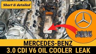 Uncovering the Mercedes Oil Cooler Leak: Vito, Viano, ML350 & More!