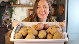 Stocking the Freezer with Homegrown Potatoes! 6 Homemade Recipes for Convenience