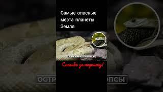 Кеймада-Гранди #факты #опасныеместа