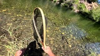 Applegate River ! Love This Spot ! Nice Trout -Cast, Hook Set, Fight, and Great Release!