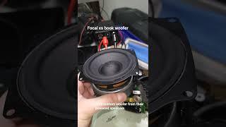 focal woofer