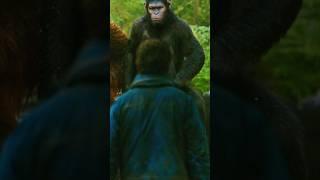 Planet of the Apes: Caesar Gives a One-Day Deadline, Andy Serkis, #apes #action