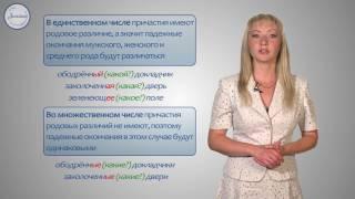 Русский язык 7 класс. Склонение причастия и правописание гласных в падежных окончаний.