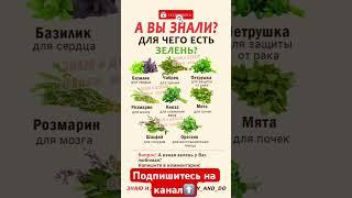 А Вы Знали для Чего есть ЗЕЛЕНЬ? #житьздорово #зелень