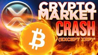 Crypto FUD Crashes Market?️‍...But Not XRP