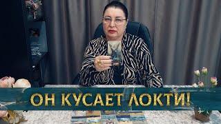 ОН КУСАЕТ ЛОКТИ! ЧТО ЕМУ ОТРАВЛЯЕТ ЖИЗНЬ?