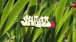 Shredscape