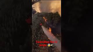 Jungle fire controlled by helicopter  # jungle #junglesounds #forest #forestfire #fire #firefighter