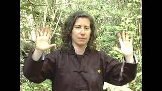 ZHAN ZHUANG Standing Qigong Meditation